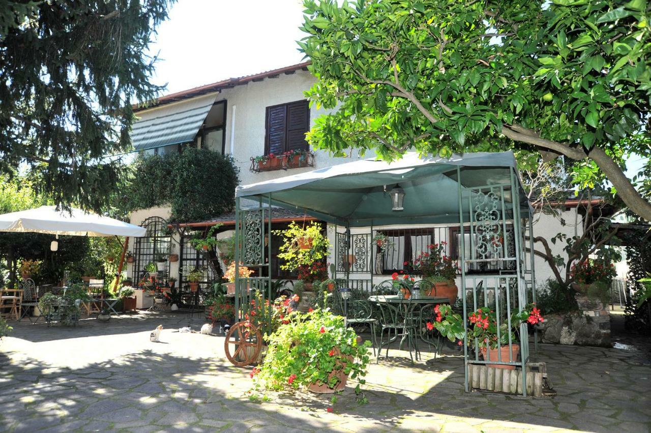 Casa Pontecorvi Bed and Breakfast Velletri Eksteriør billede